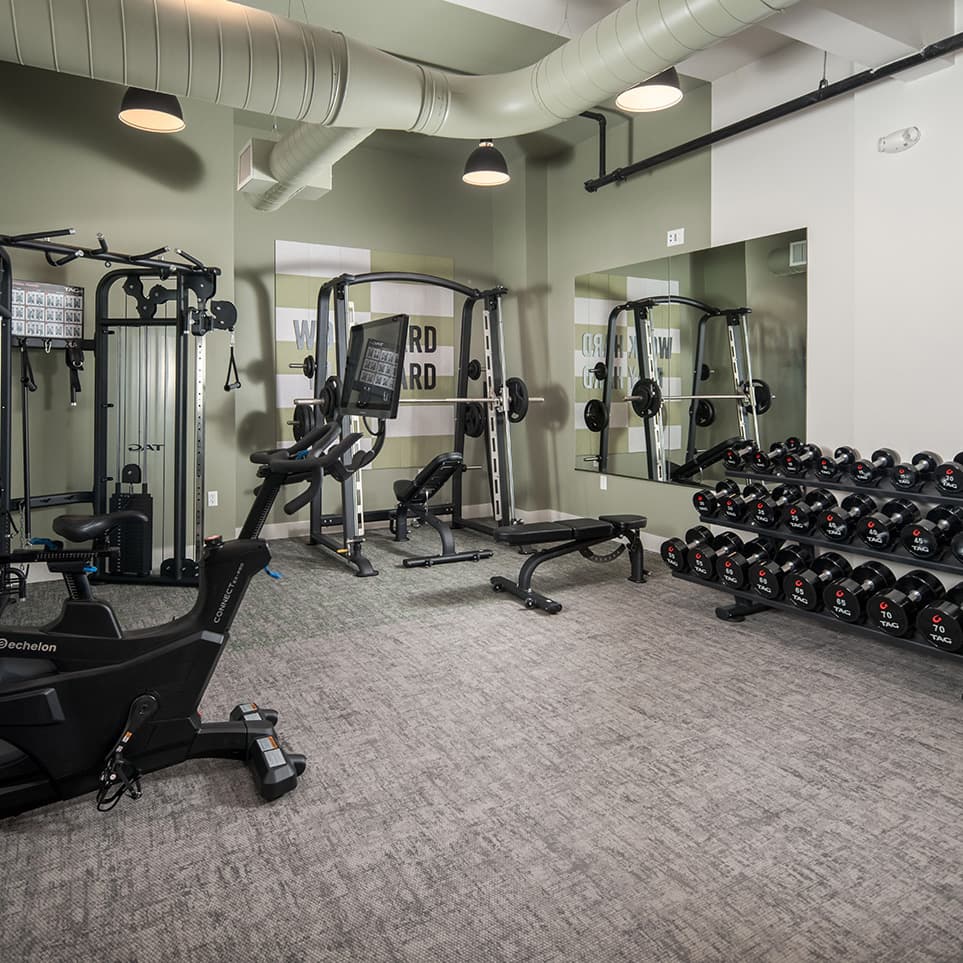 BSL-Gym-02
