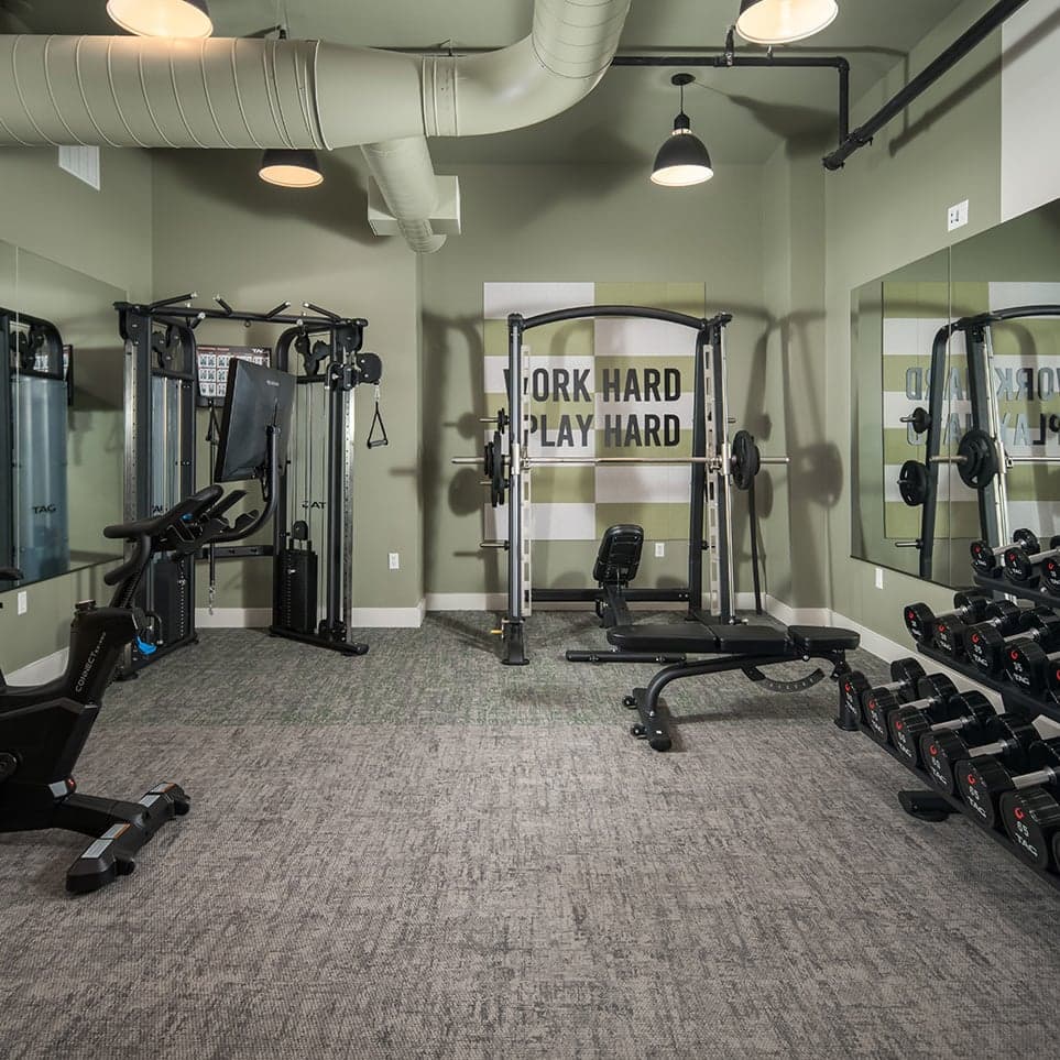 BSL-Gym