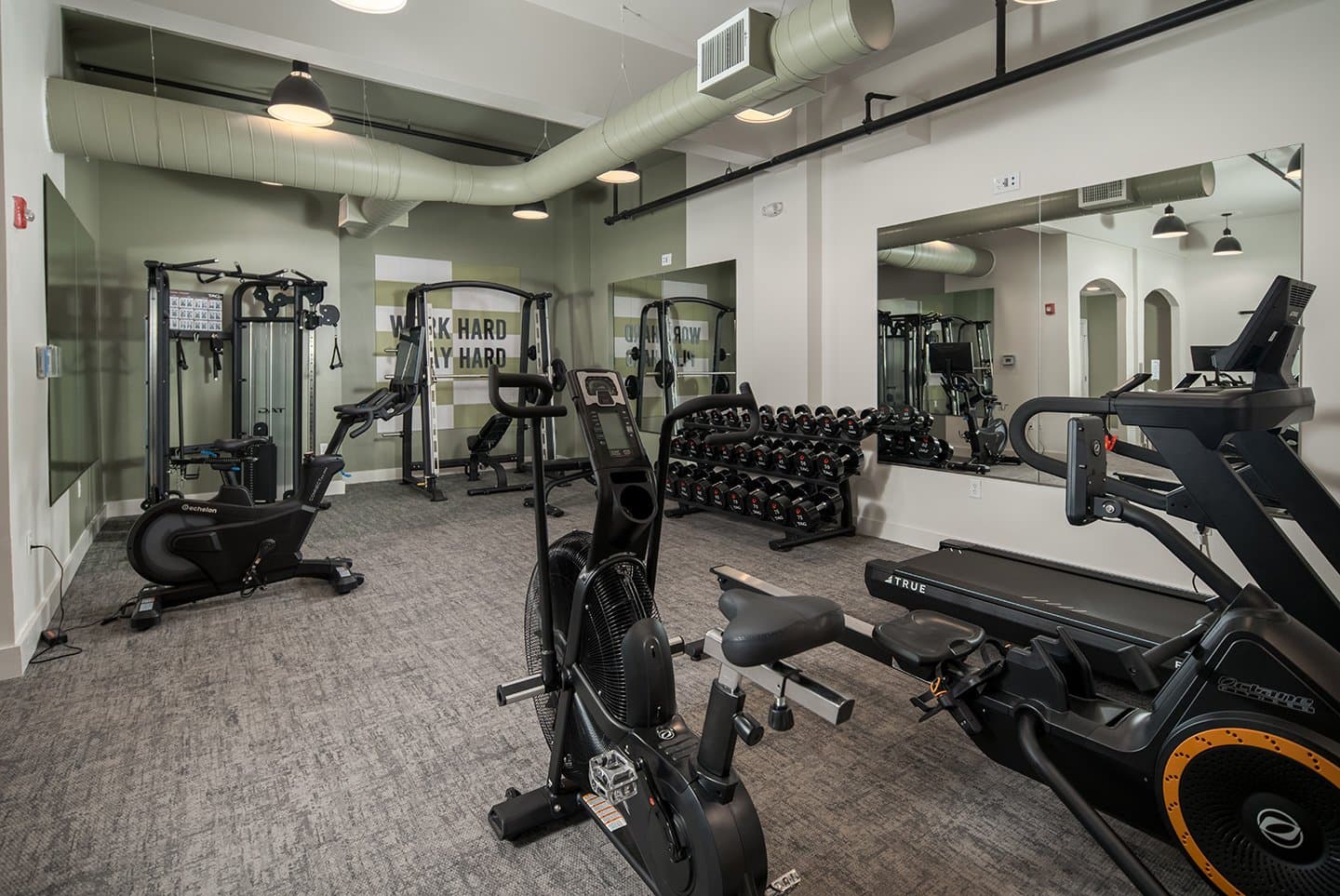 BSL-Gym-01